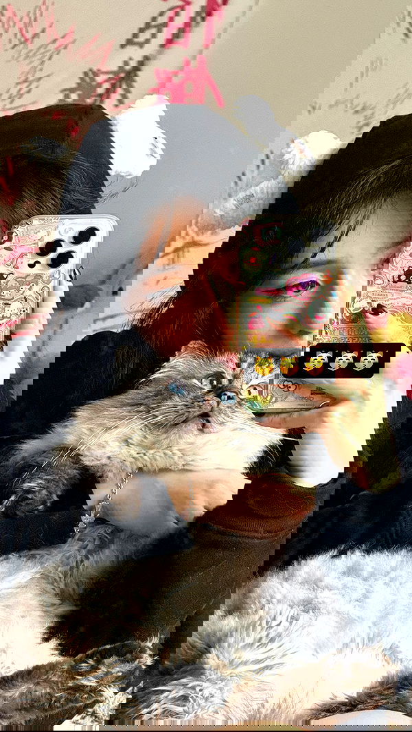 tiffanobi tiffanobi archive image