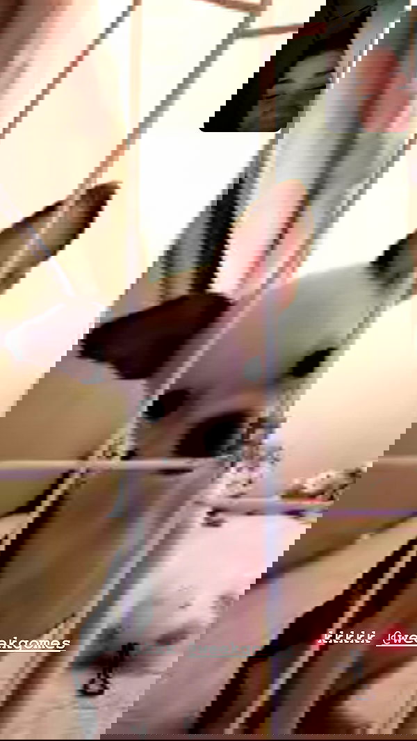 tiliaoficial tiliaoficial archive image