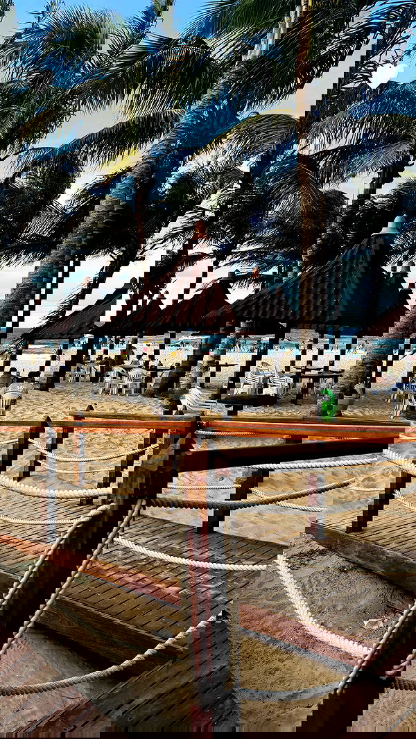 tiliaoficial tiliaoficial archive image