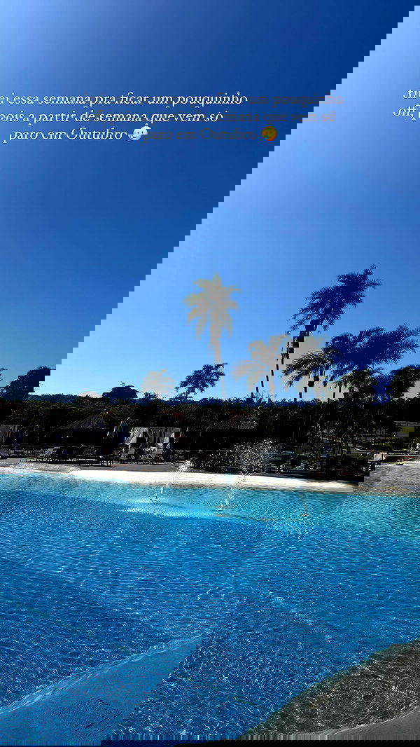 tiliaoficial tiliaoficial archive image