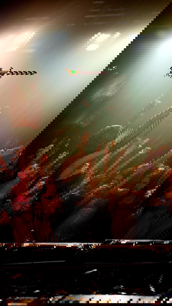 tiliaoficial tiliaoficial archive image