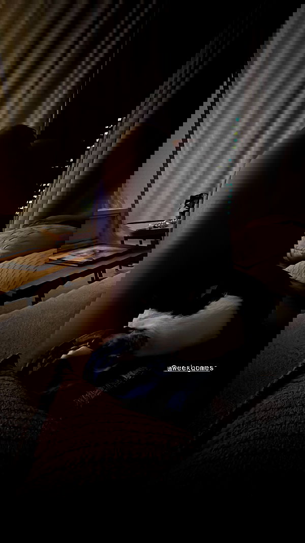 tiliaoficial tiliaoficial archive image