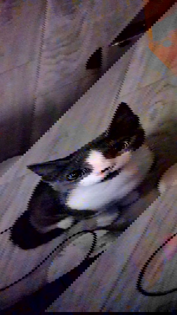 tinapavlov.sky tinapavlov.sky archive image