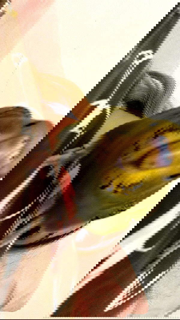 tinapavlov.sky tinapavlov.sky archive image