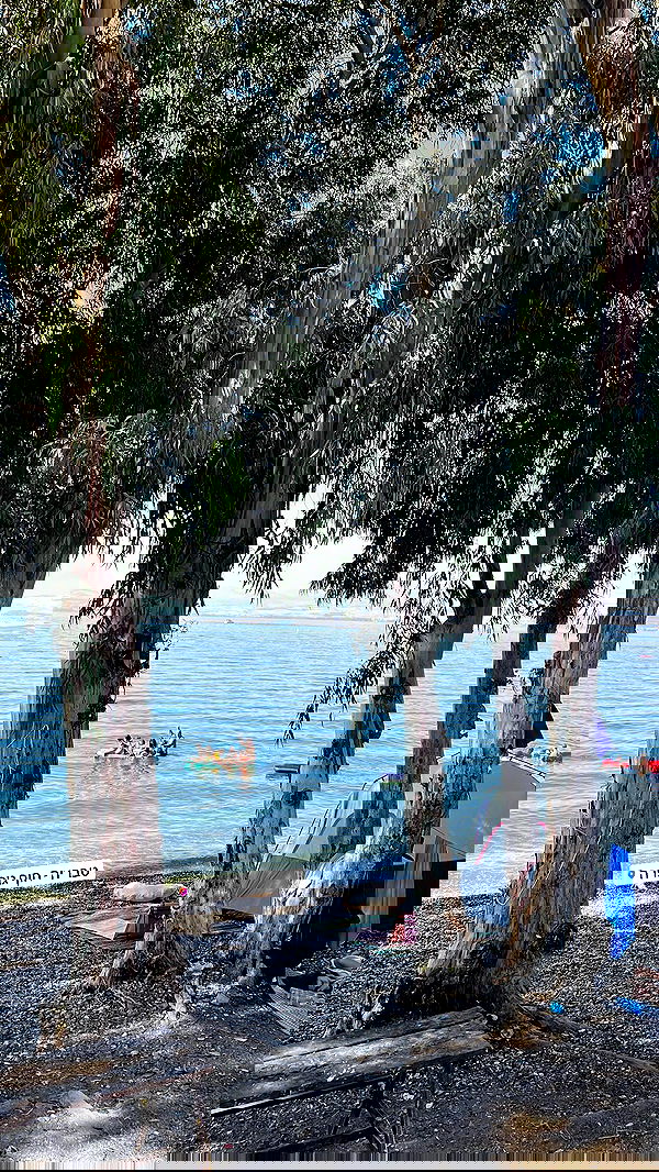 tinapavlov.sky tinapavlov.sky archive image