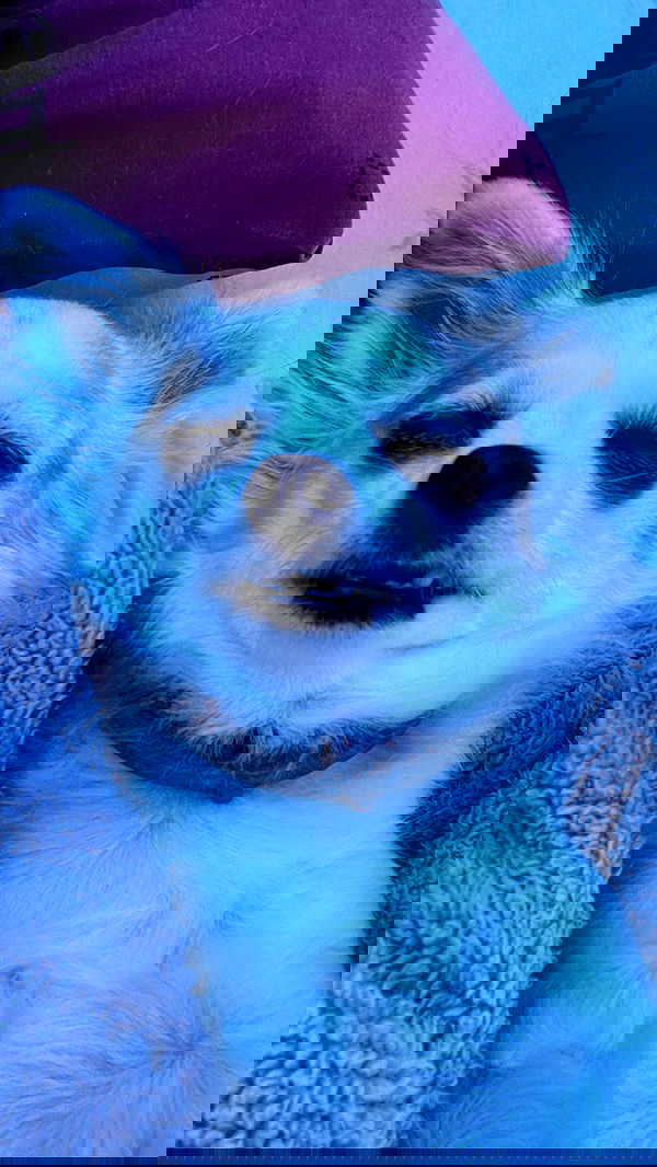 tinapavlov.sky tinapavlov.sky archive image