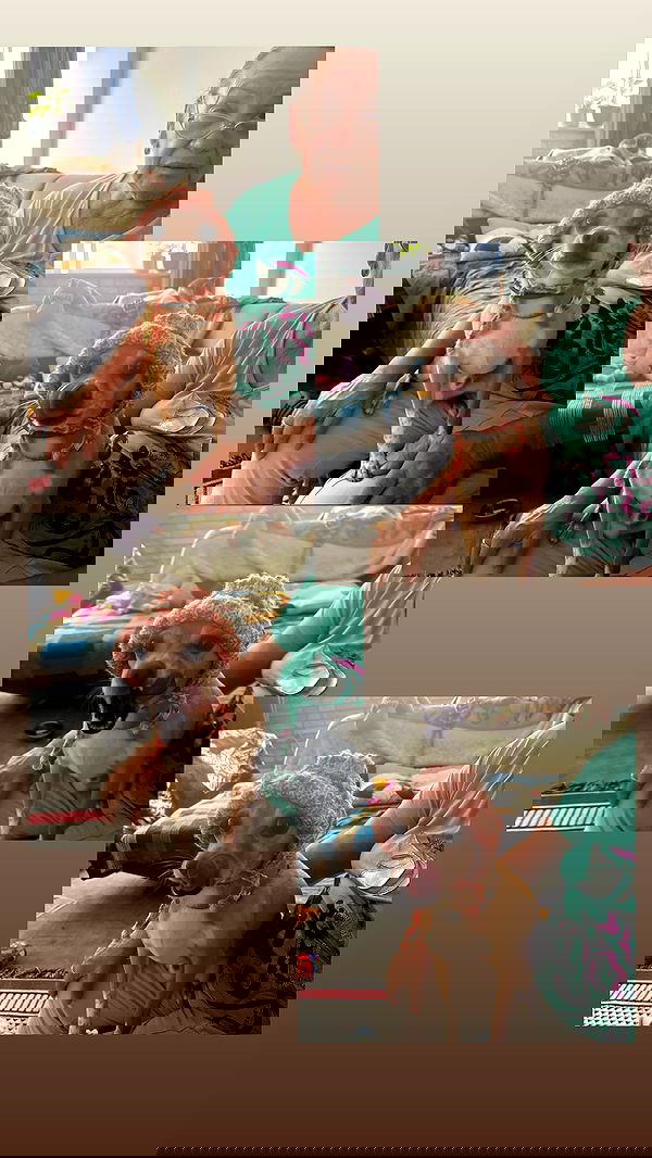 tinapavlov.sky tinapavlov.sky archive image