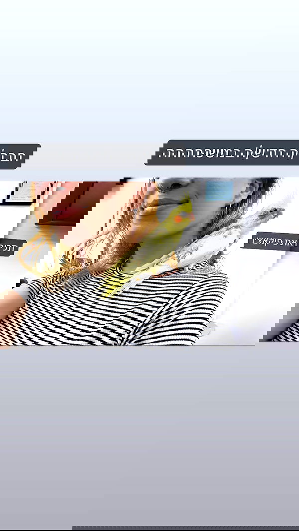 tinapavlov.sky tinapavlov.sky archive image