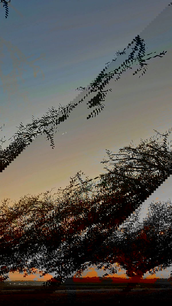 tinapavlov.sky tinapavlov.sky archive image