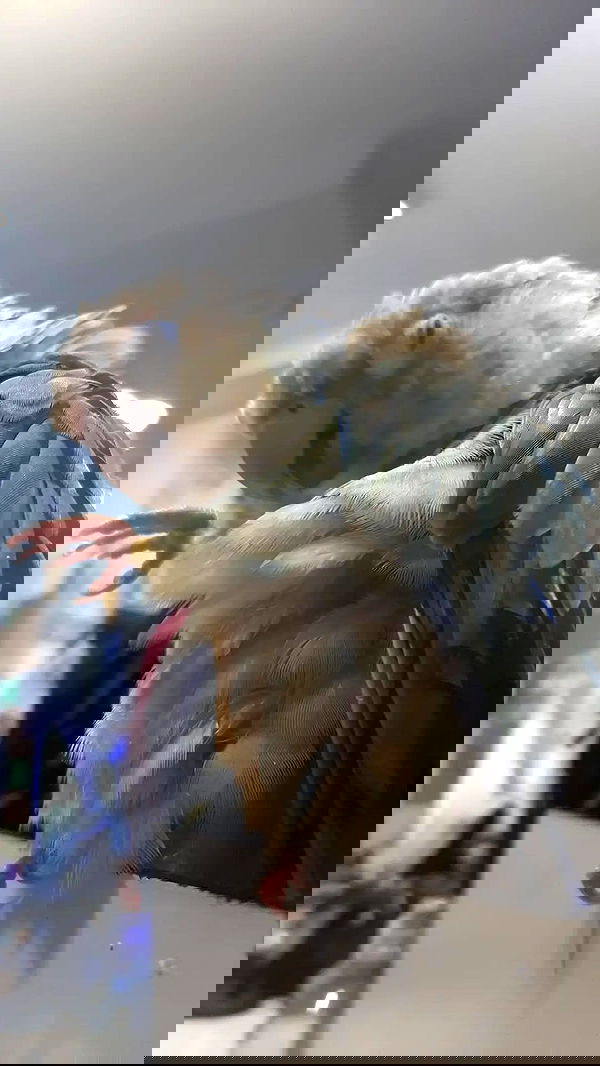 tinapavlov.sky tinapavlov.sky archive image