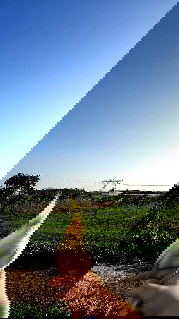 tinapavlov.sky tinapavlov.sky archive image