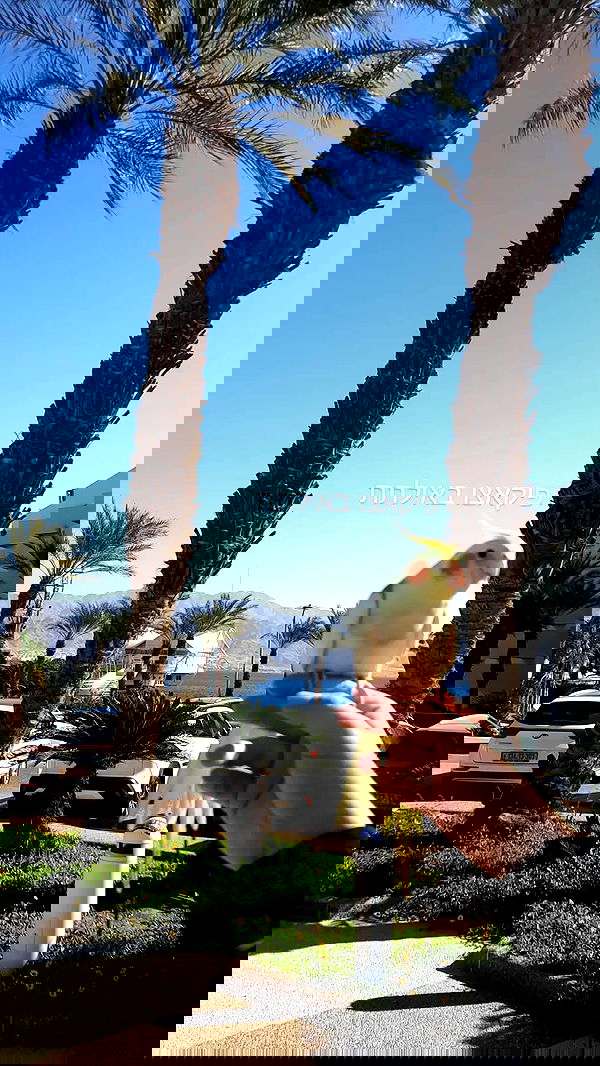 tinapavlov.sky tinapavlov.sky archive image