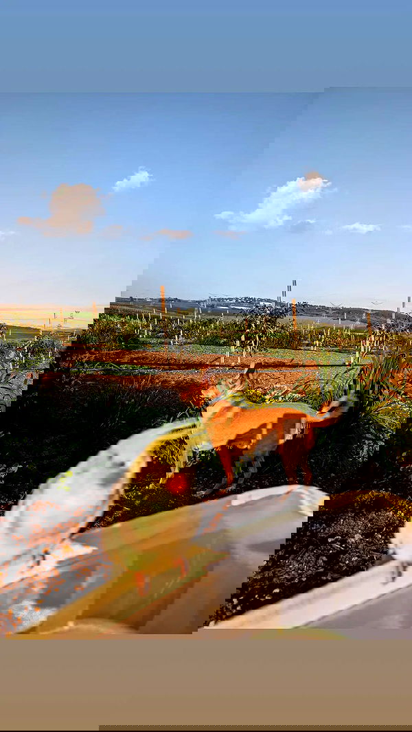 tinapavlov.sky tinapavlov.sky archive image