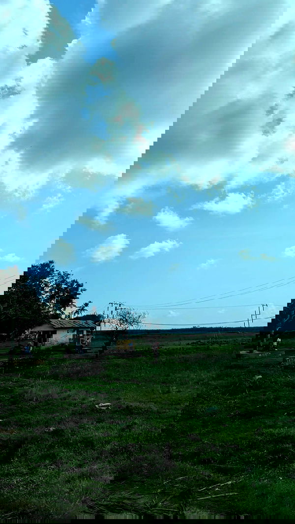 tinapavlov.sky tinapavlov.sky archive image