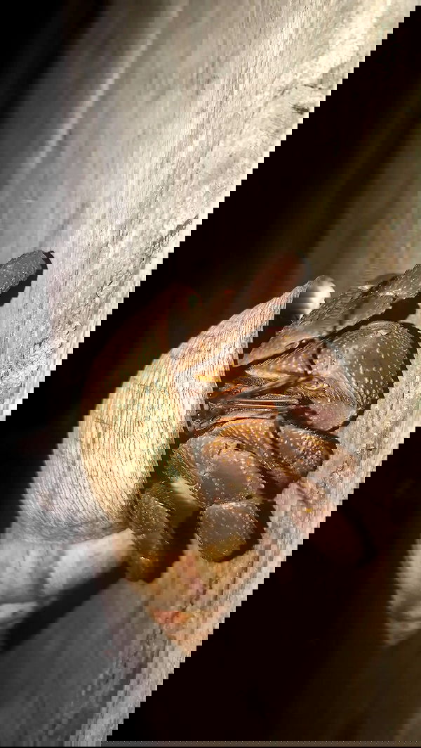 tinapavlov.sky tinapavlov.sky archive image