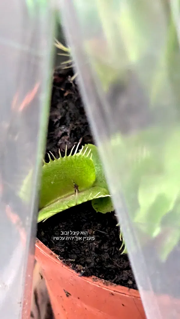 tinapavlov.sky tinapavlov.sky archive image