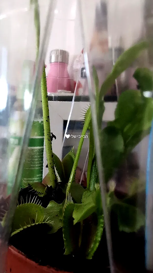 tinapavlov.sky tinapavlov.sky archive image