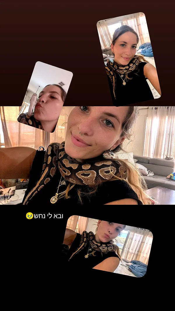 tinapavlov.sky tinapavlov.sky archive image