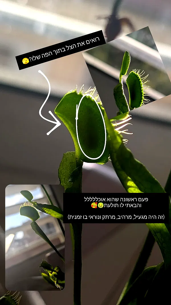 tinapavlov.sky tinapavlov.sky archive image