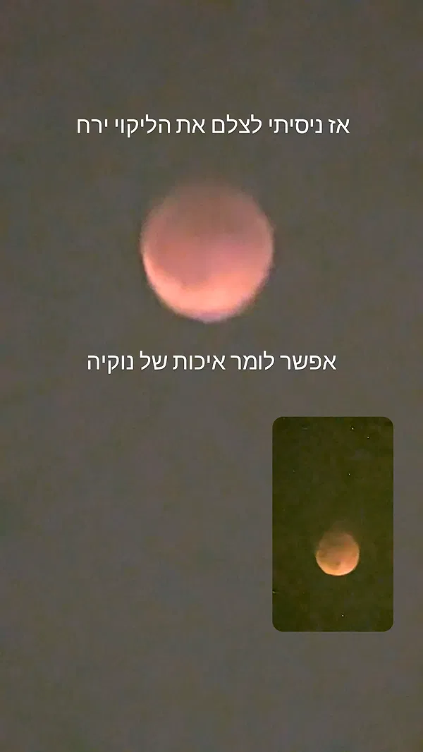 tinapavlov.sky tinapavlov.sky archive image