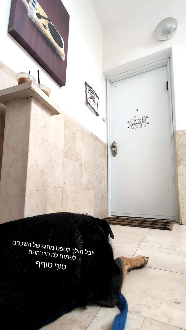 tinapavlov.sky tinapavlov.sky archive image