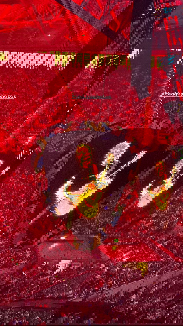 tingting_lai tingting_lai archive image