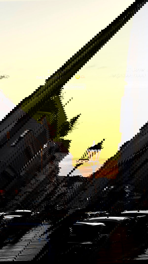 tingting_lai tingting_lai archive image