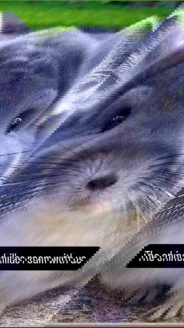 tobynjacobs tobynjacobs archive image