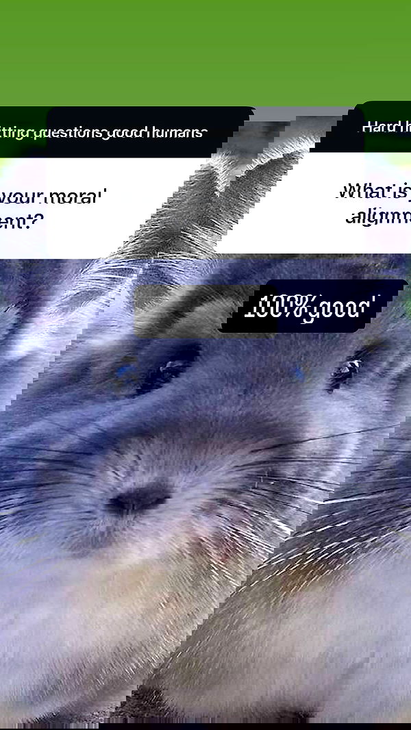 tobynjacobs tobynjacobs archive image