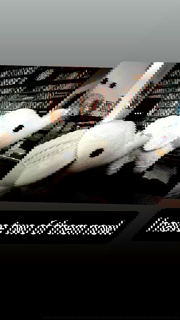 tobynjacobs tobynjacobs archive image