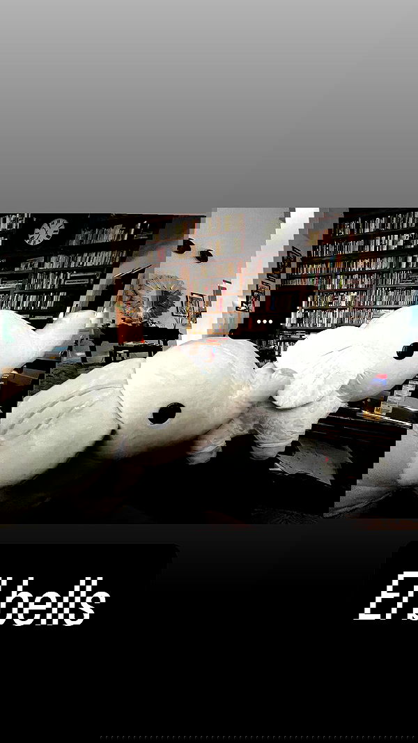 tobynjacobs tobynjacobs archive image