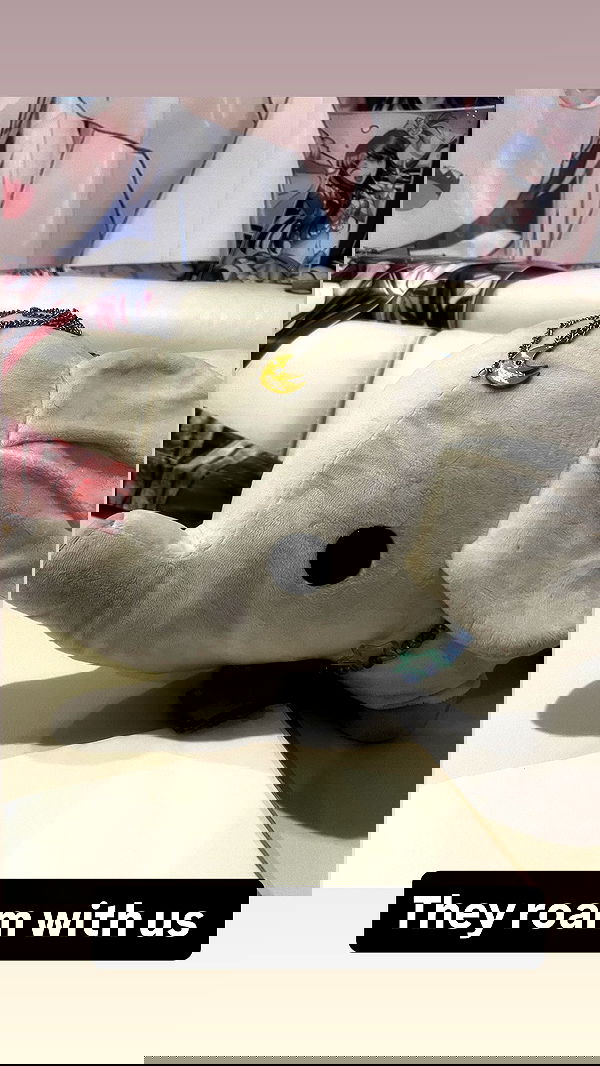 tobynjacobs tobynjacobs archive image