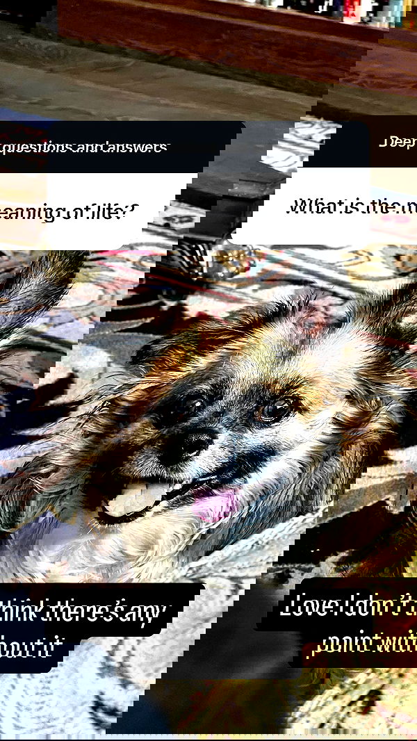 tobynjacobs tobynjacobs archive image