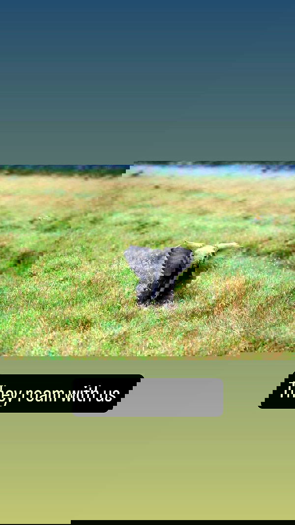 tobynjacobs tobynjacobs archive image