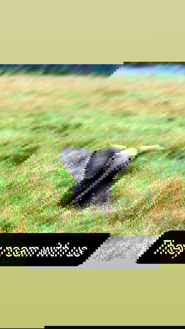 tobynjacobs tobynjacobs archive image