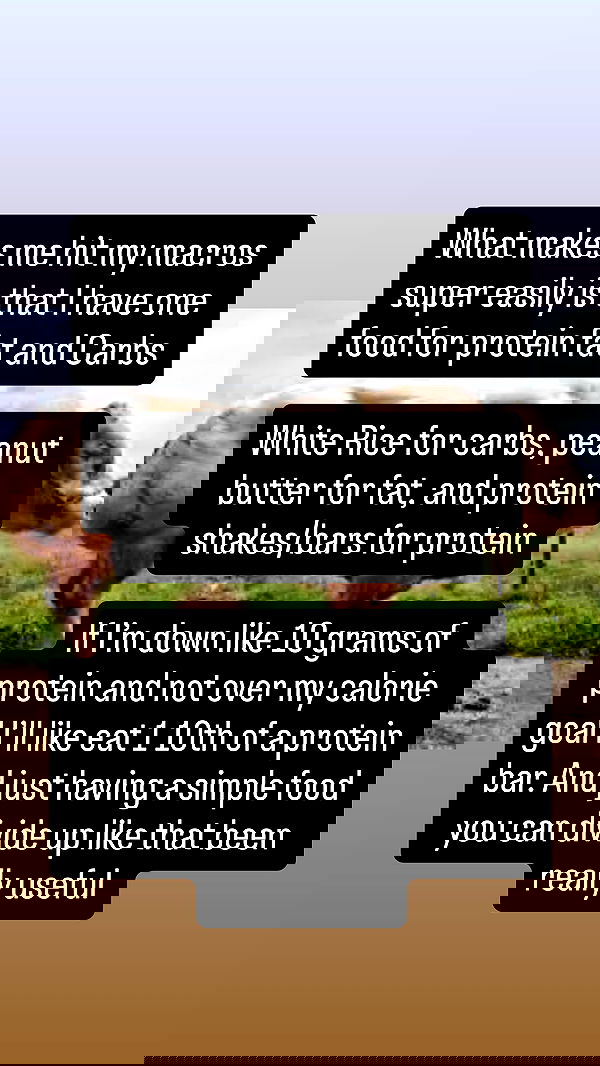 tobynjacobs tobynjacobs archive image