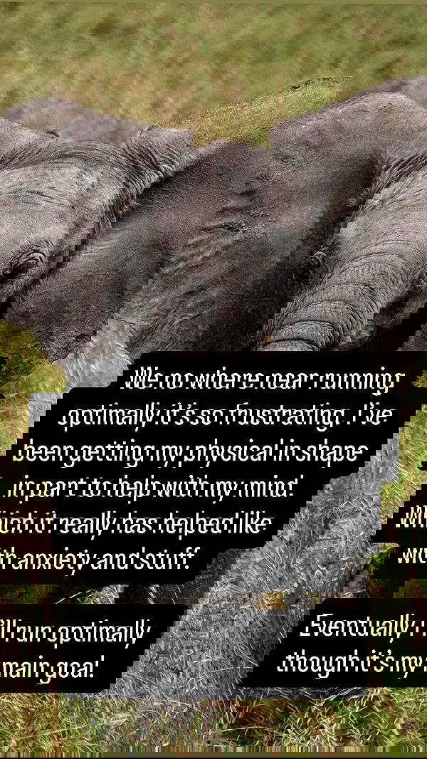 tobynjacobs tobynjacobs archive image