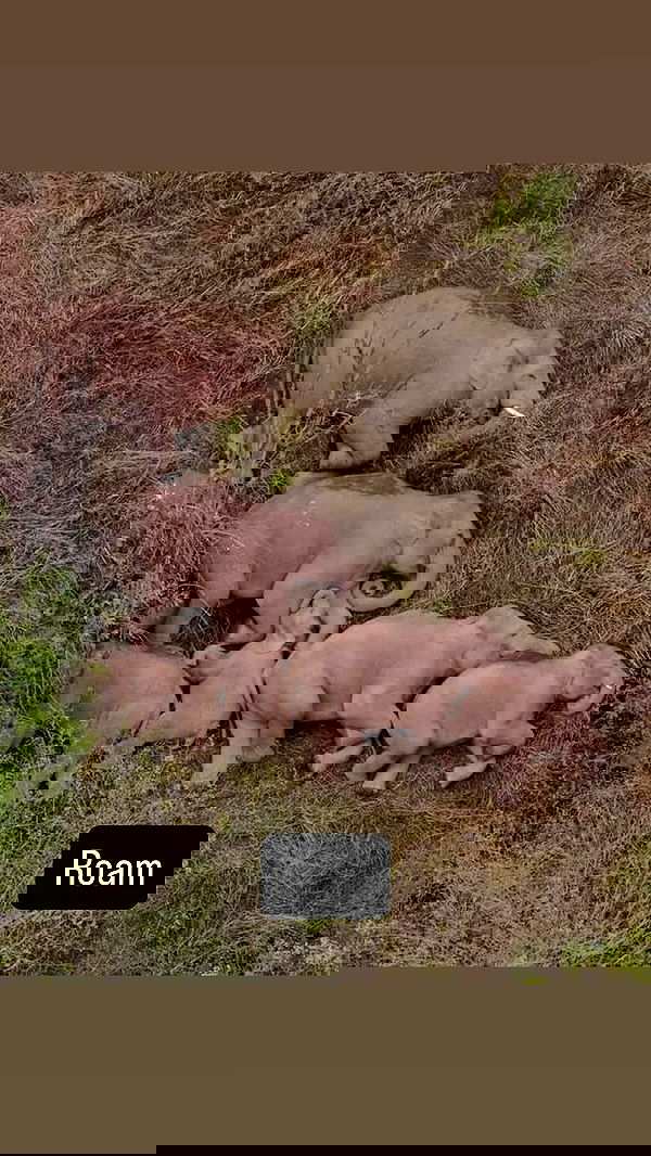 tobynjacobs tobynjacobs archive image