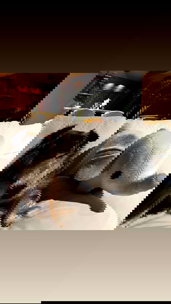 tobynjacobs tobynjacobs archive image