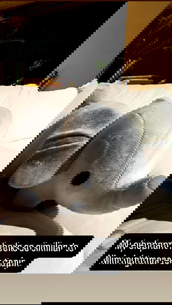 tobynjacobs tobynjacobs archive image