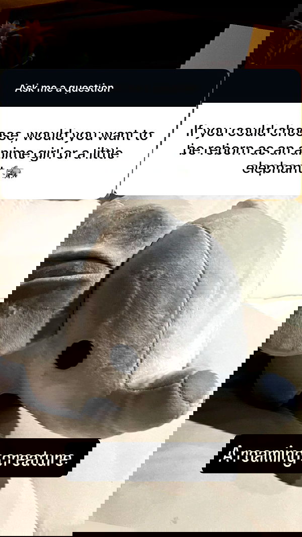 tobynjacobs tobynjacobs archive image