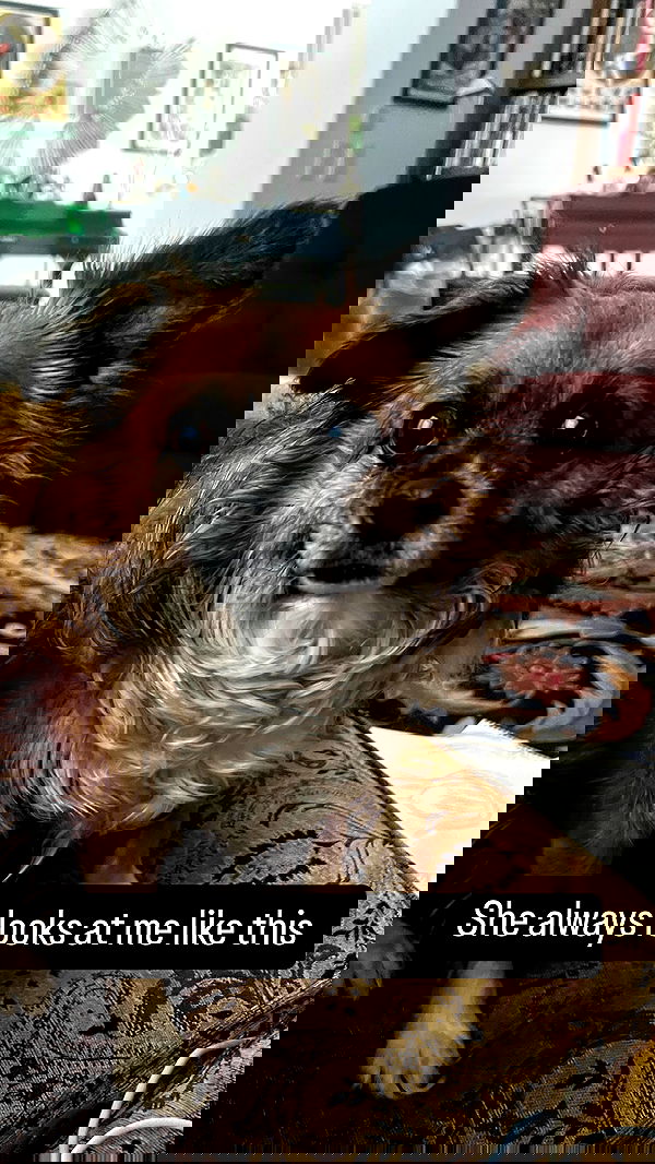 tobynjacobs tobynjacobs archive image