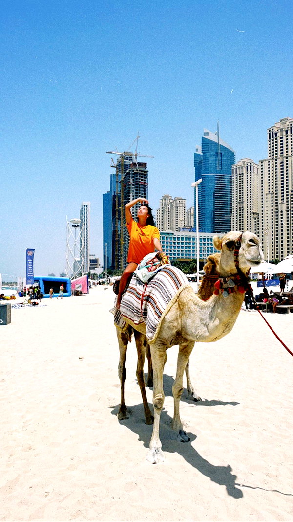tohar.harosh instagram image archive image