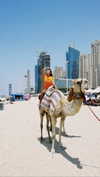 tohar.harosh Altpins Profile Picture
