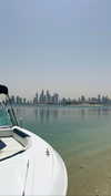 tohar.harosh Altpins Profile Picture