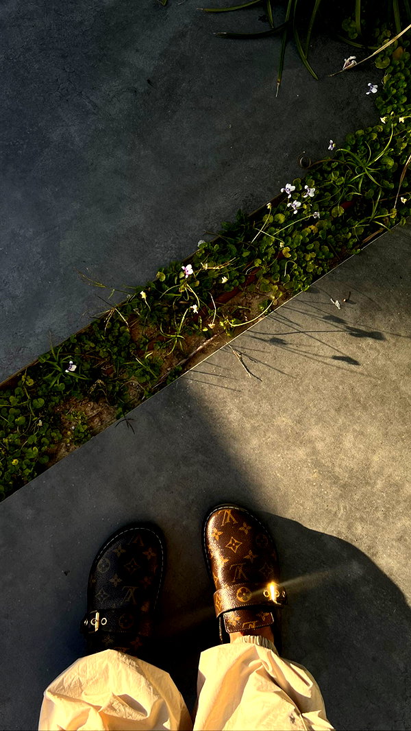tohar.harosh instagram image archive image