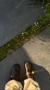 tohar.harosh Altpins Profile Picture