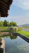 tohar.harosh Altpins Profile Picture