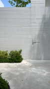 tohar.harosh Altpins Profile Picture