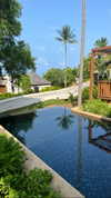 tohar.harosh Altpins Profile Picture